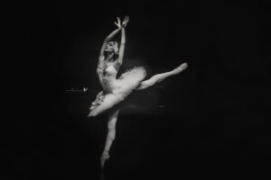 IMG 8197 300x200