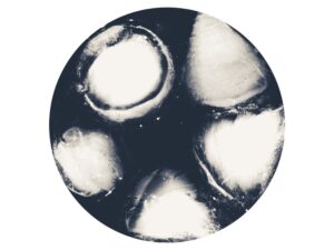 118763814 2793036811021608 8704197022428095051 N 300x225